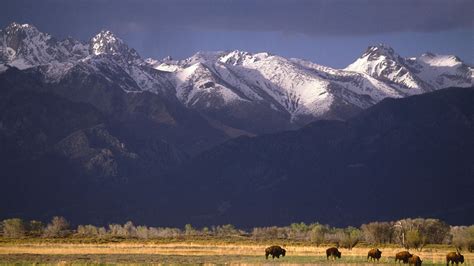 Sangre De Cristo Range Colorado